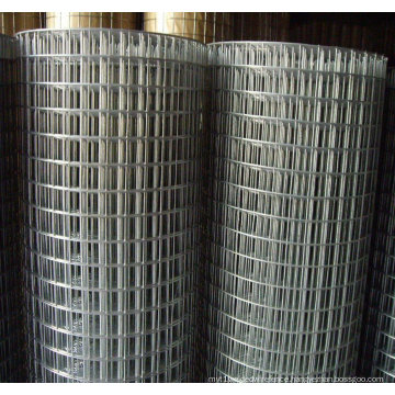 Galvanized Rabbit Cage Wire Galvanized Welded Wire Mesh